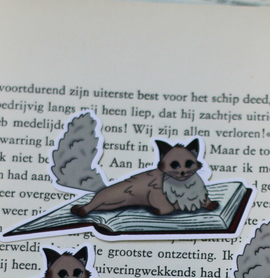 Book cat stickers / magnets