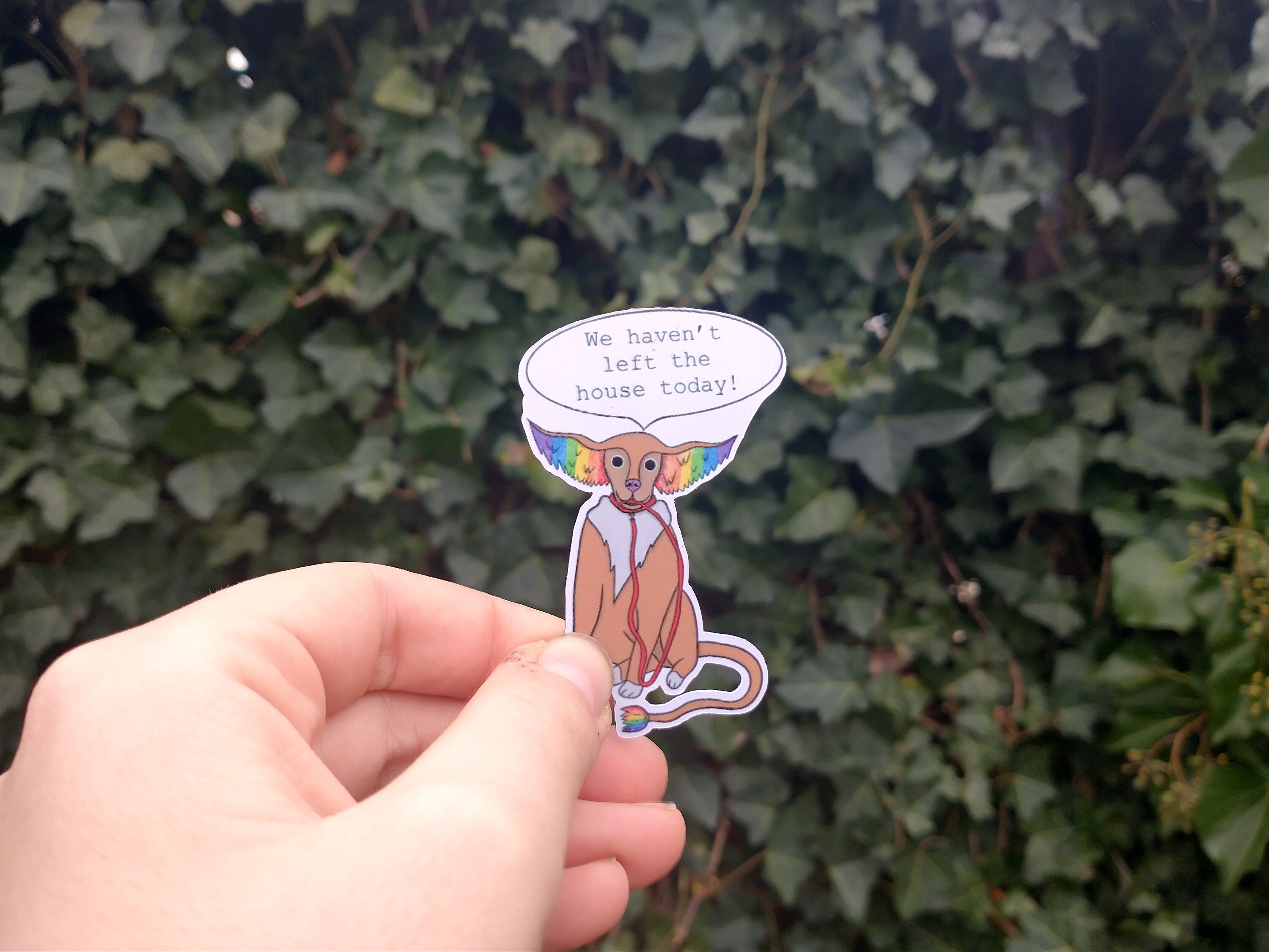 Selfcare magnet go outside dog, trash raccoon and dust squirrel