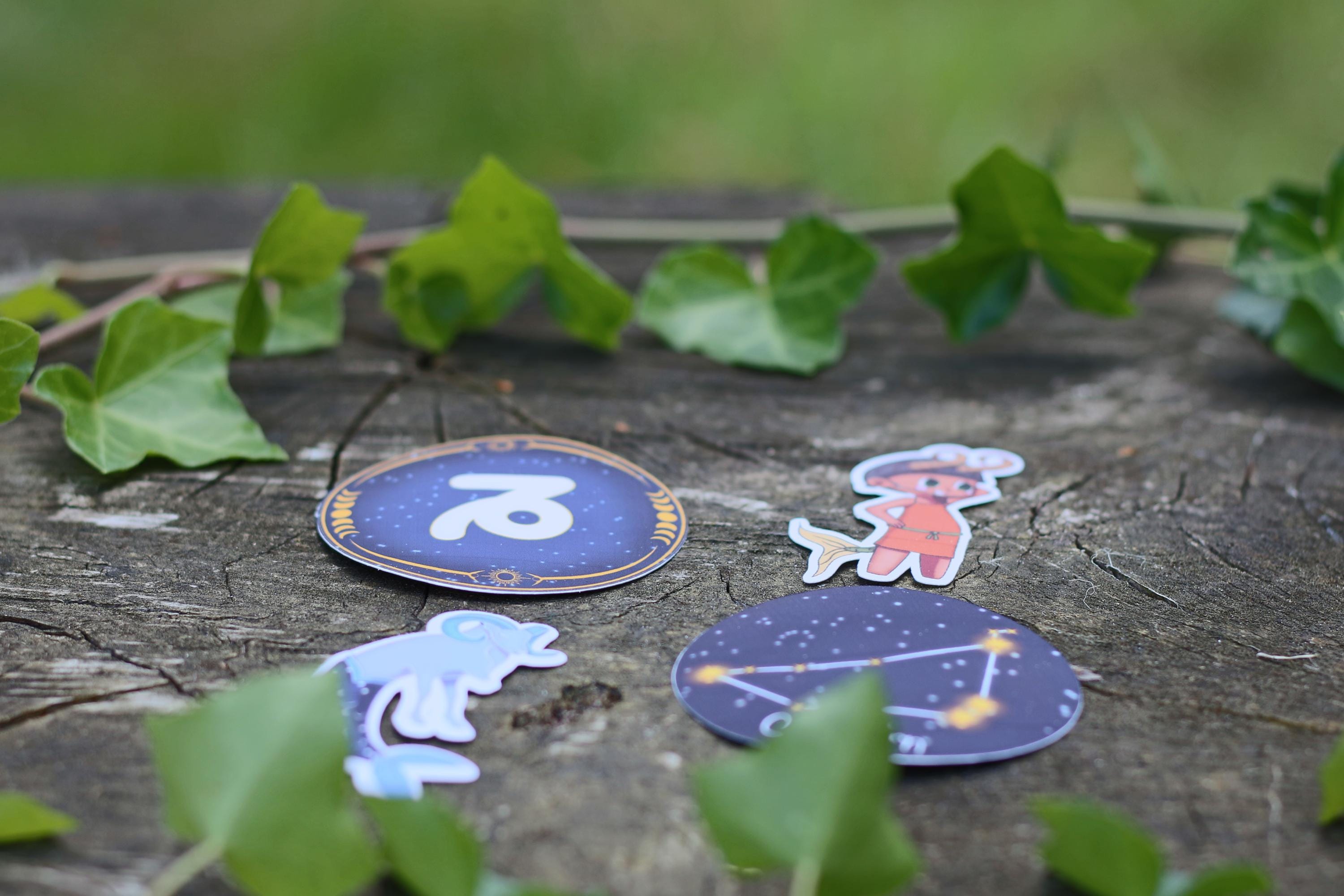 star sign constalation stickers capricorn