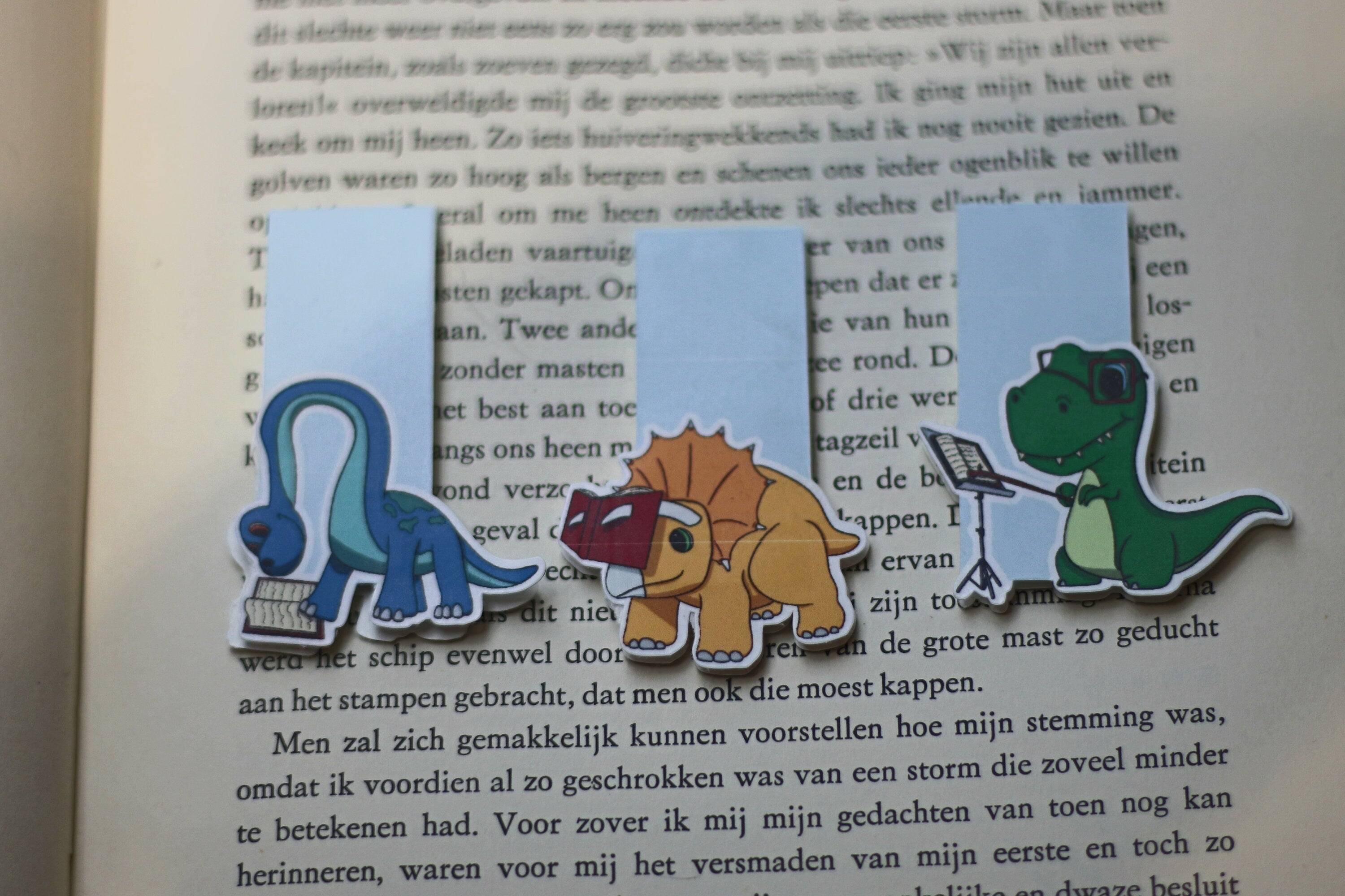 Reading dinosaurs magnetic bookmark