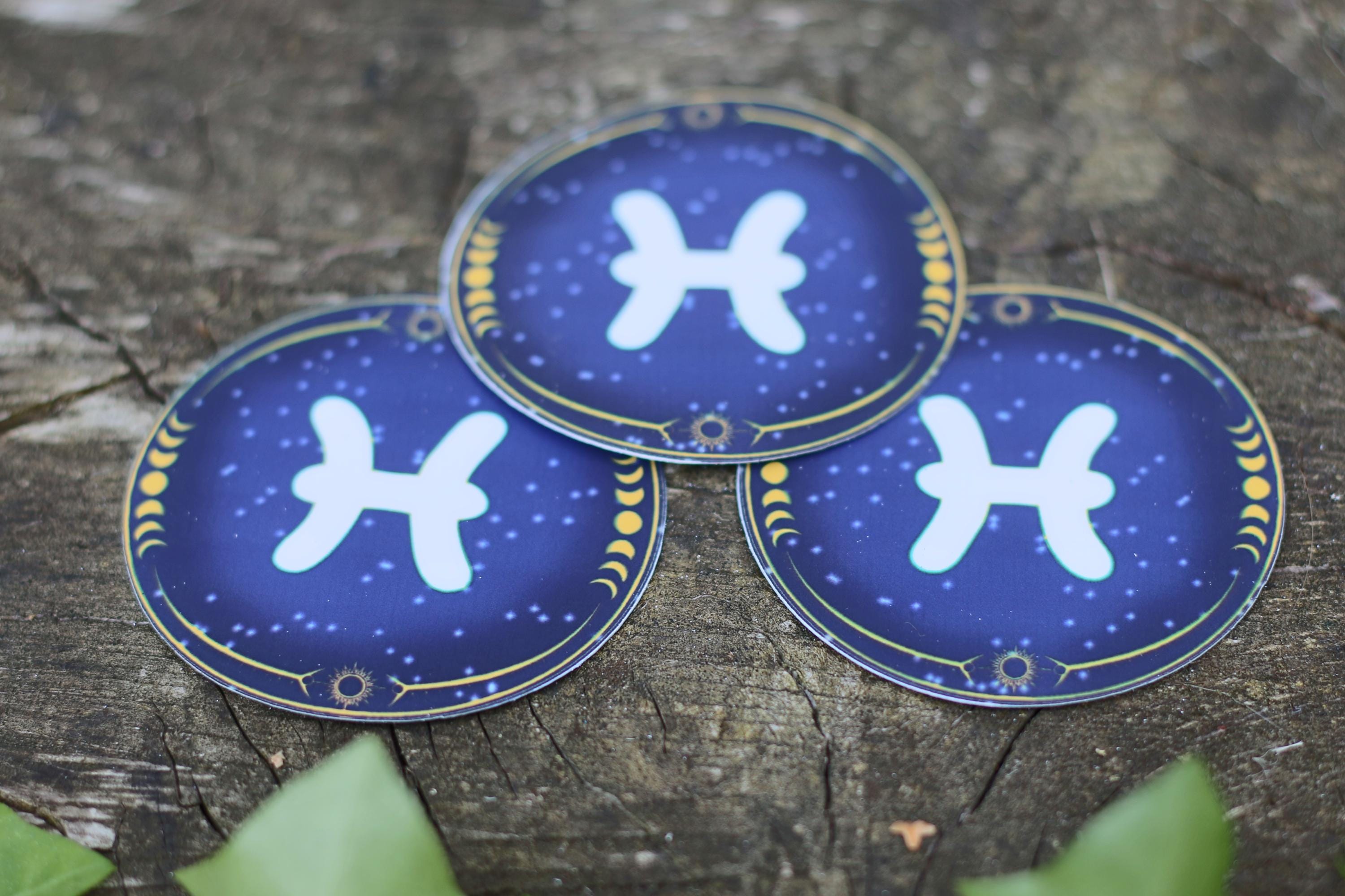 star sign constalation stickers pisces
