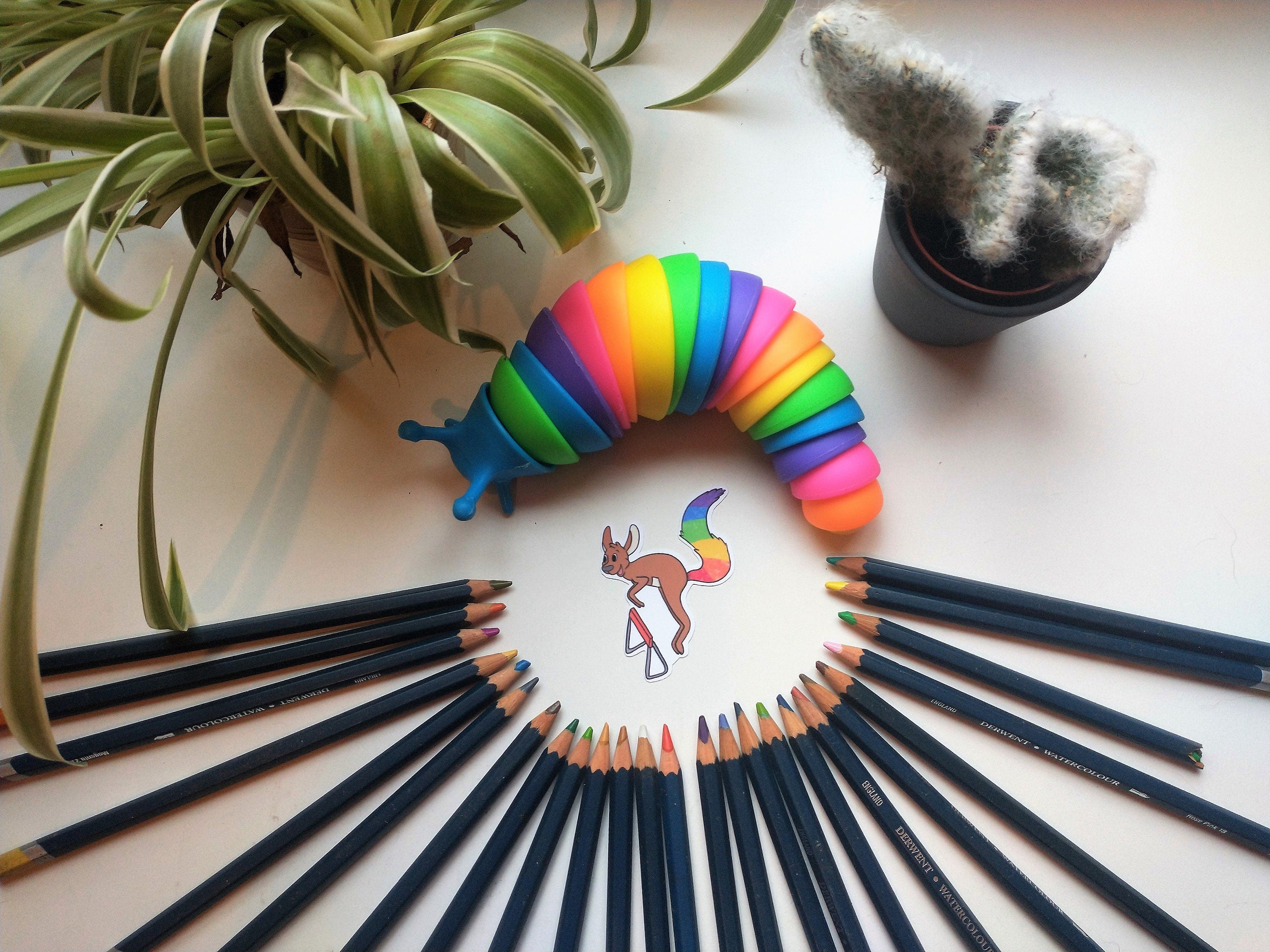 Fantasy rainbow sport kangaroo, elephant and cat