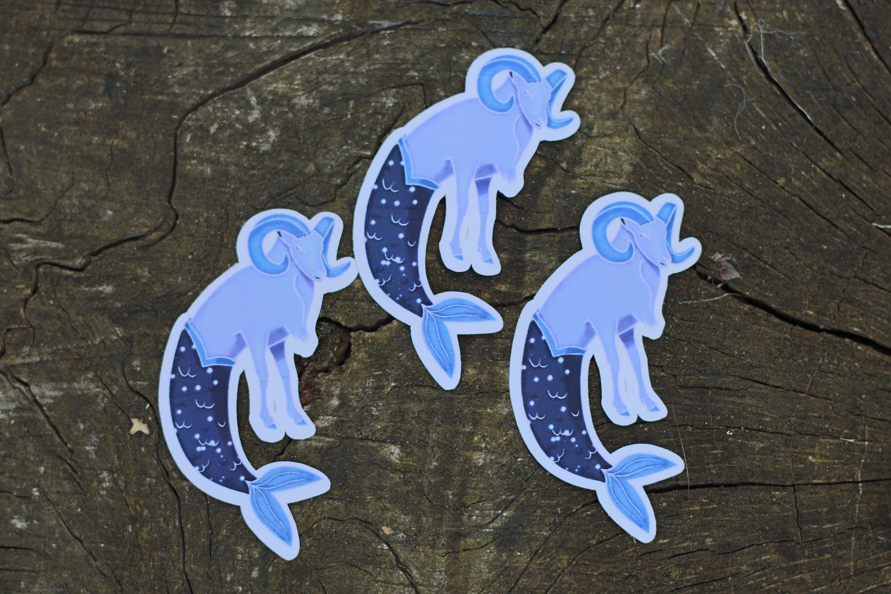 star sign constalation stickers capricorn