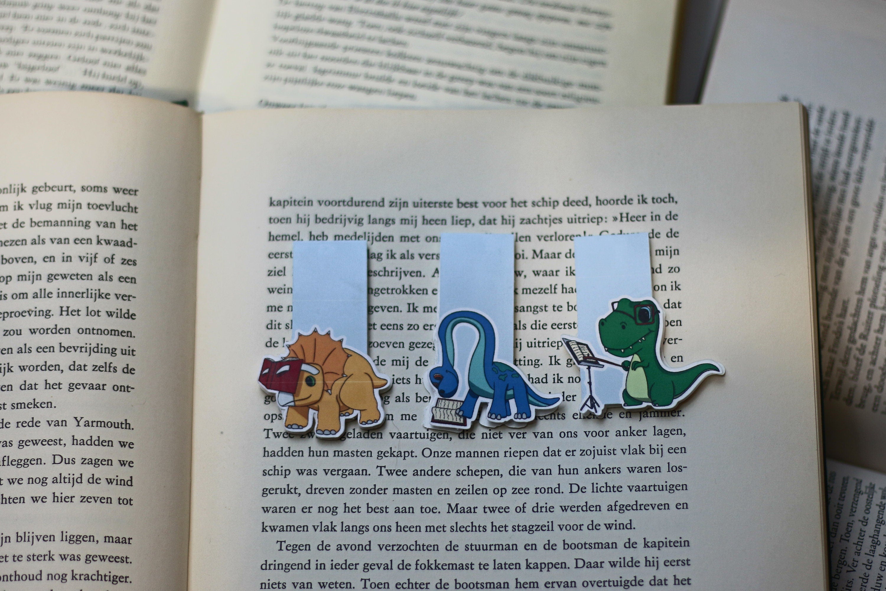 Reading dinosaurs magnetic bookmark