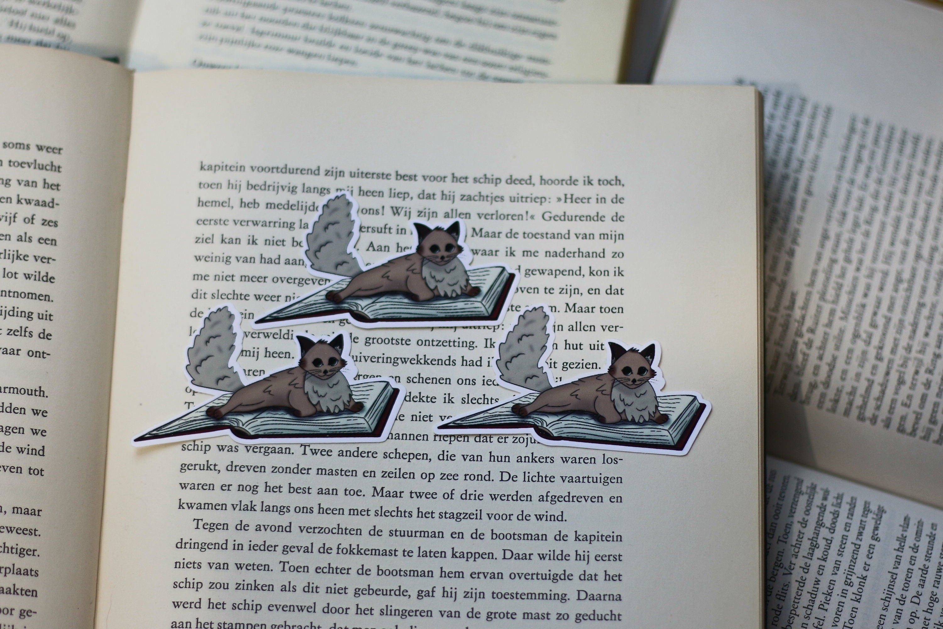 Book cat stickers / magnets
