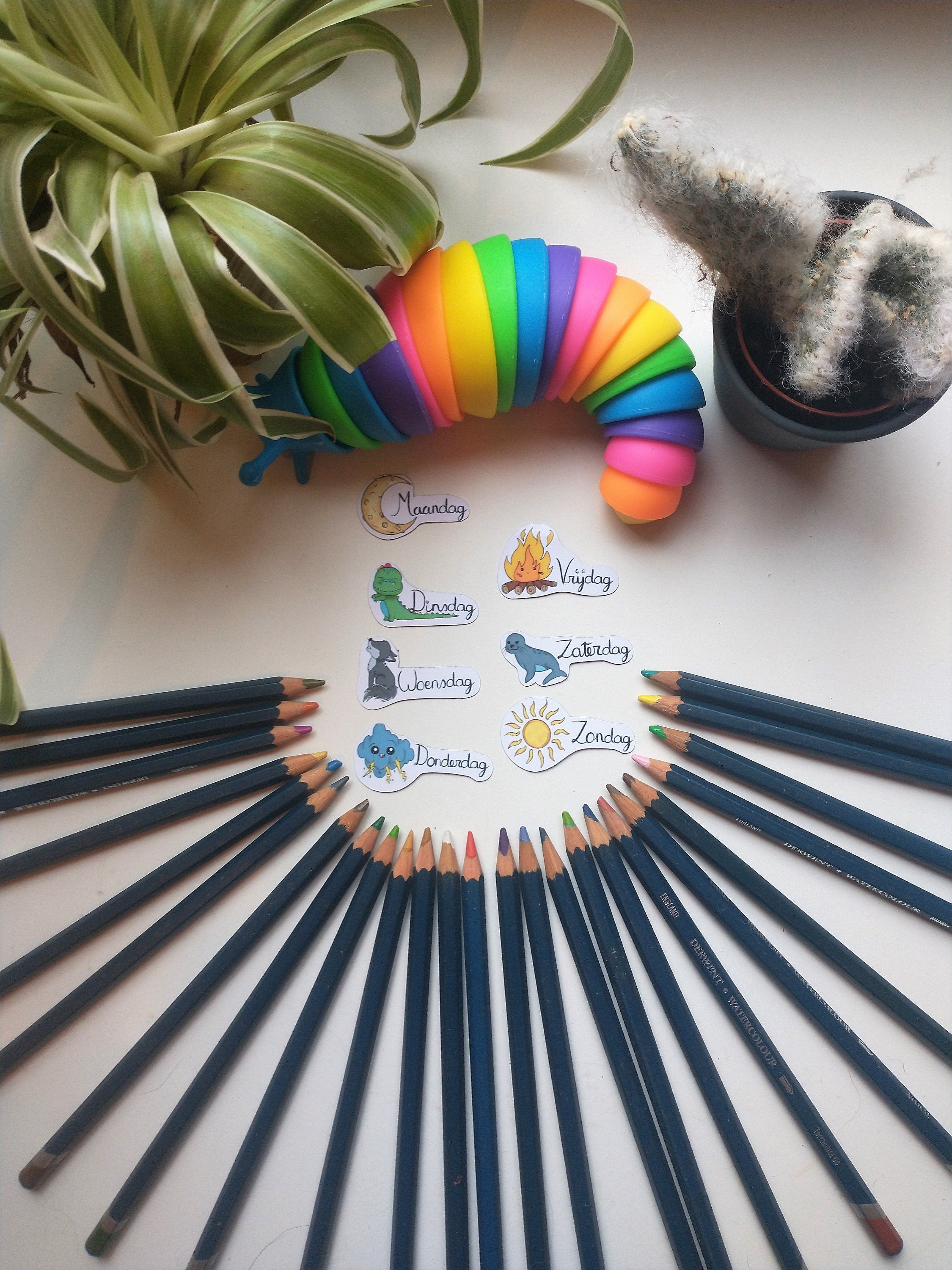 Days of the weel planner magnets