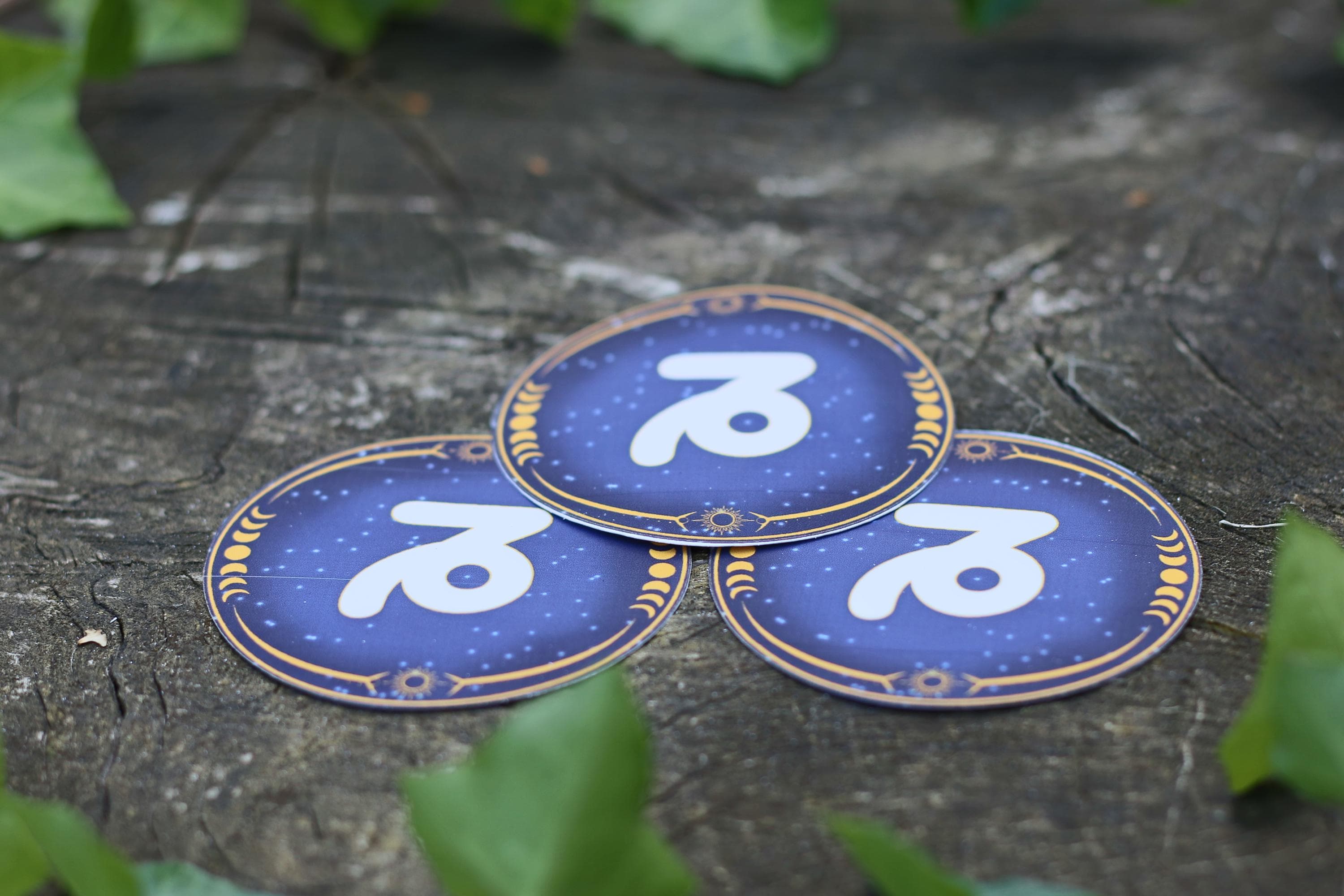 star sign constalation stickers capricorn