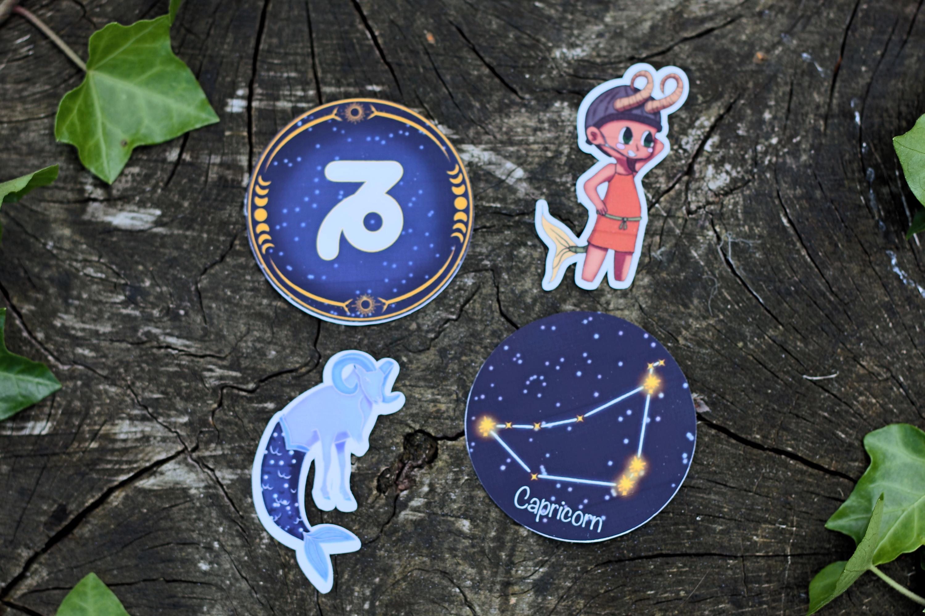 star sign constalation stickers capricorn