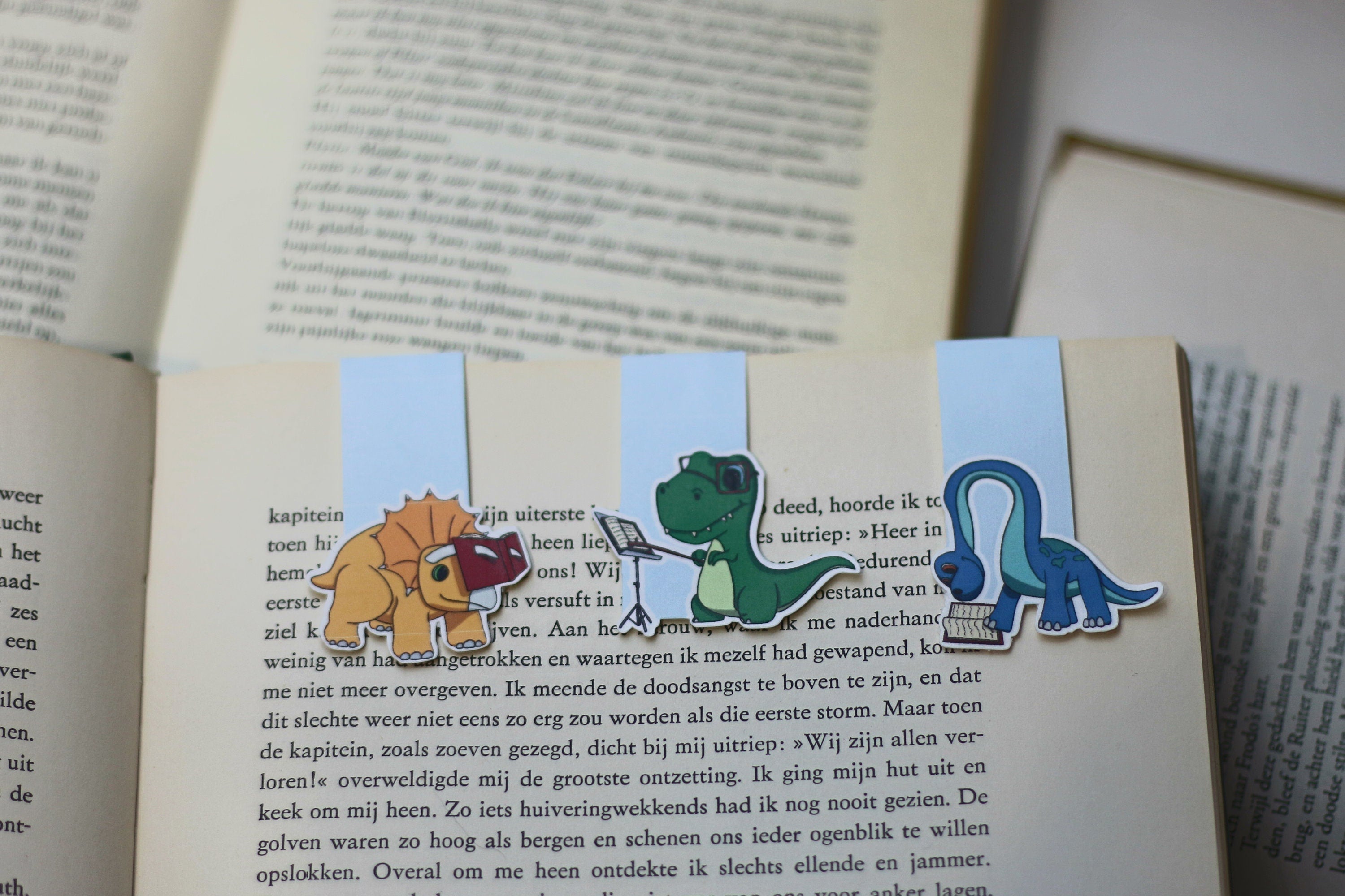 Reading dinosaurs magnetic bookmark