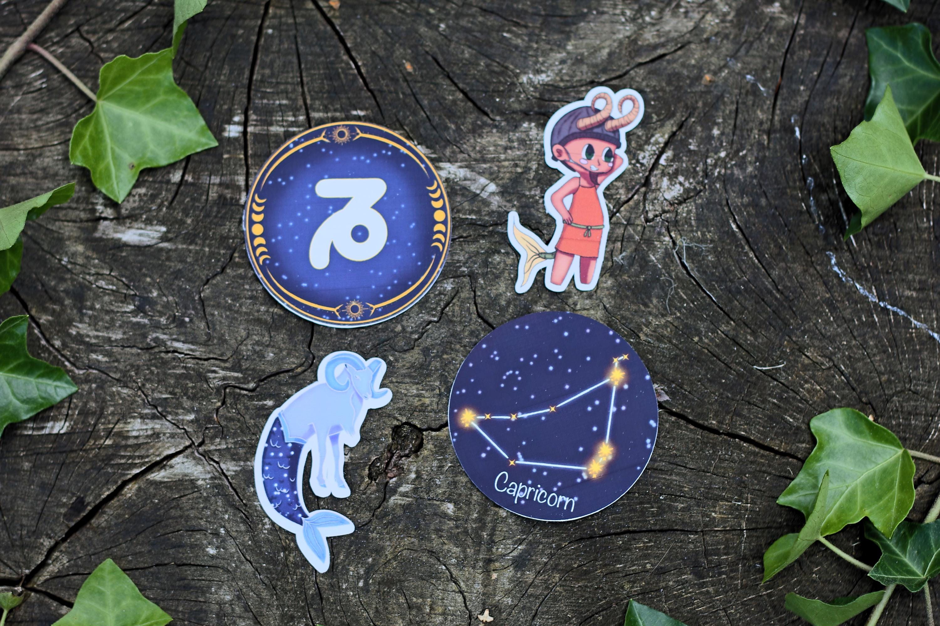 star sign constalation stickers capricorn