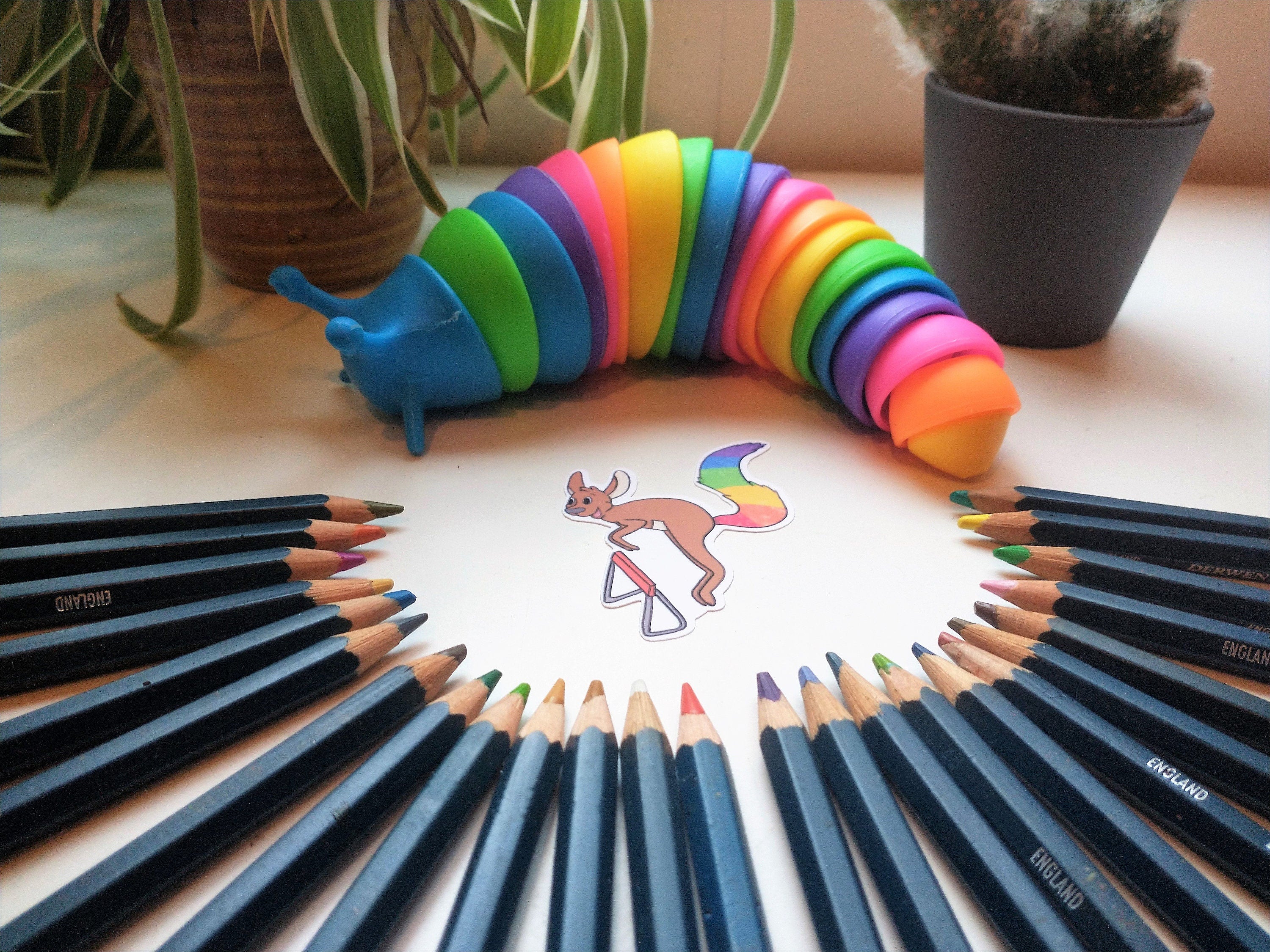 Fantasy rainbow sport kangaroo, elephant and cat