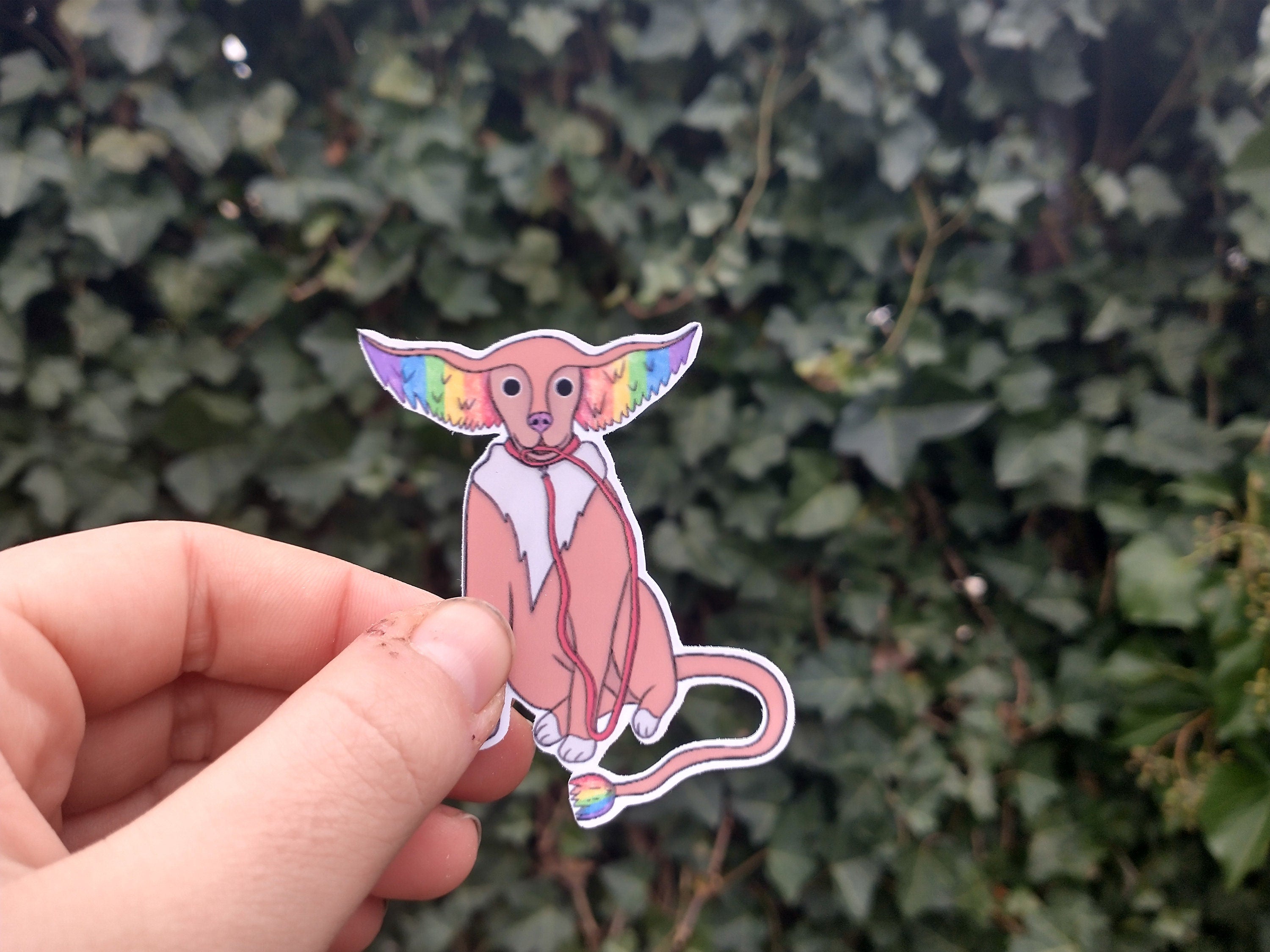 Fantasy rainbow dog on leash, raccoon and squirrel