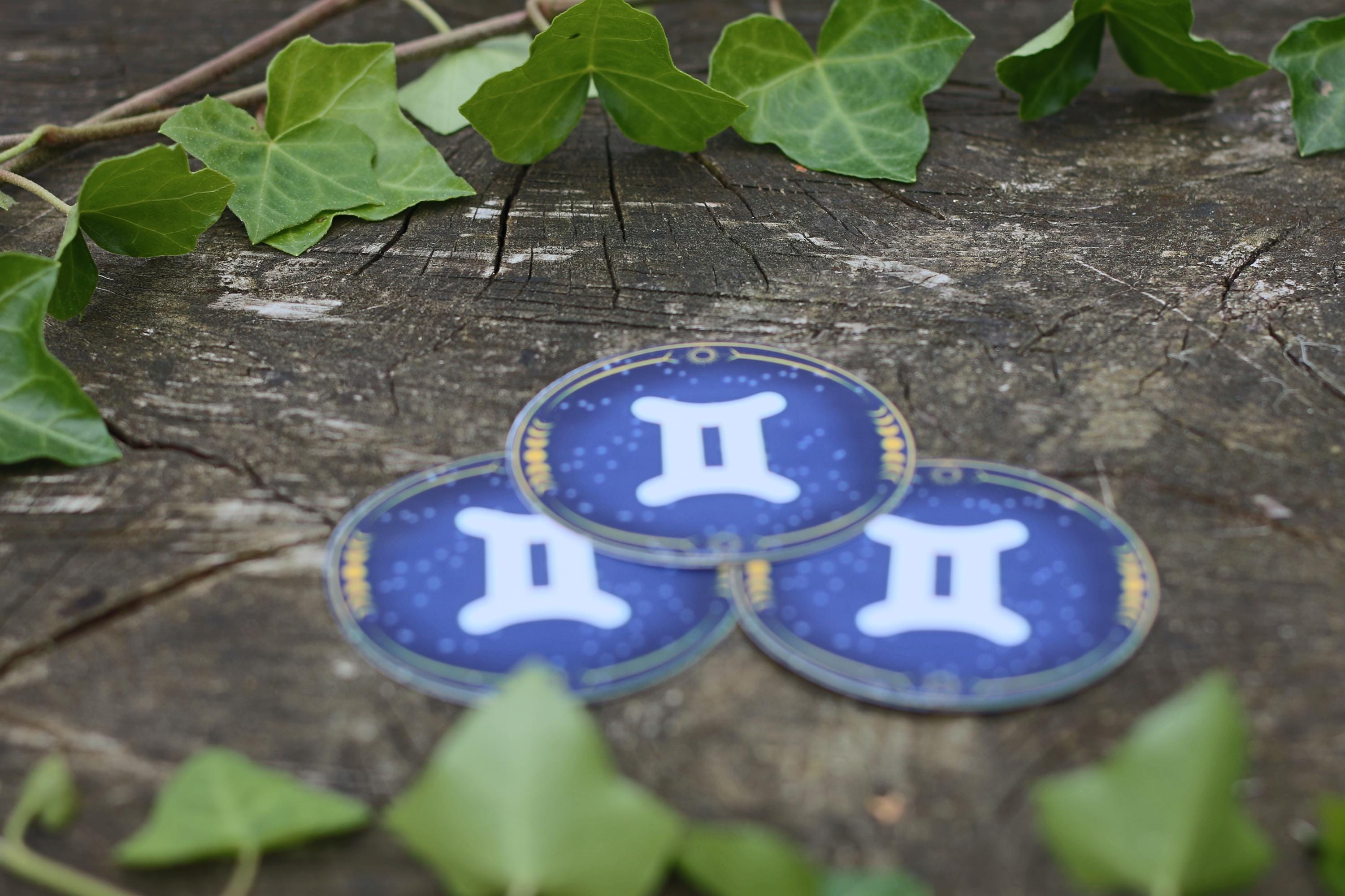 star sign constalation stickers gemini
