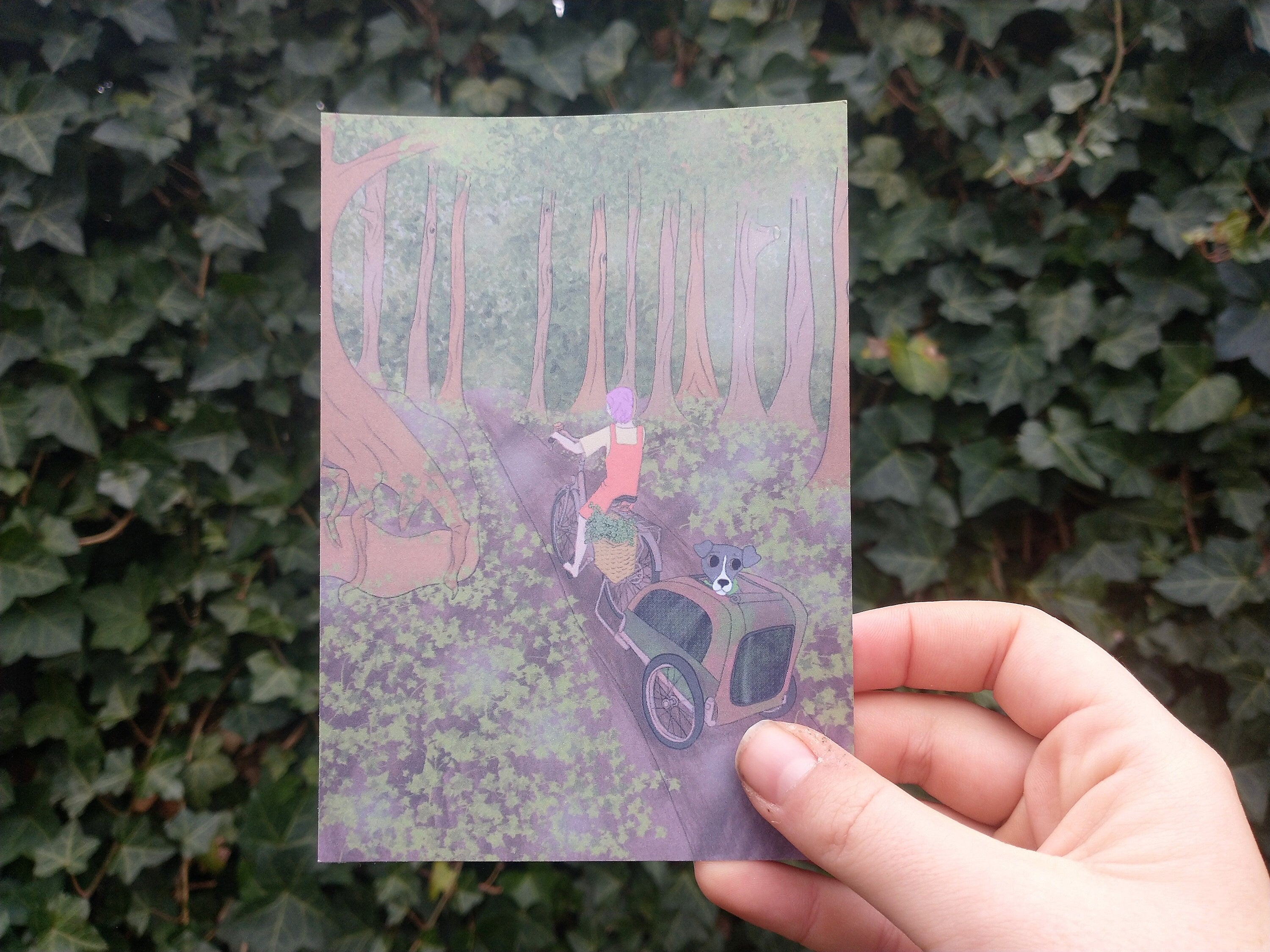postcard bike in nature