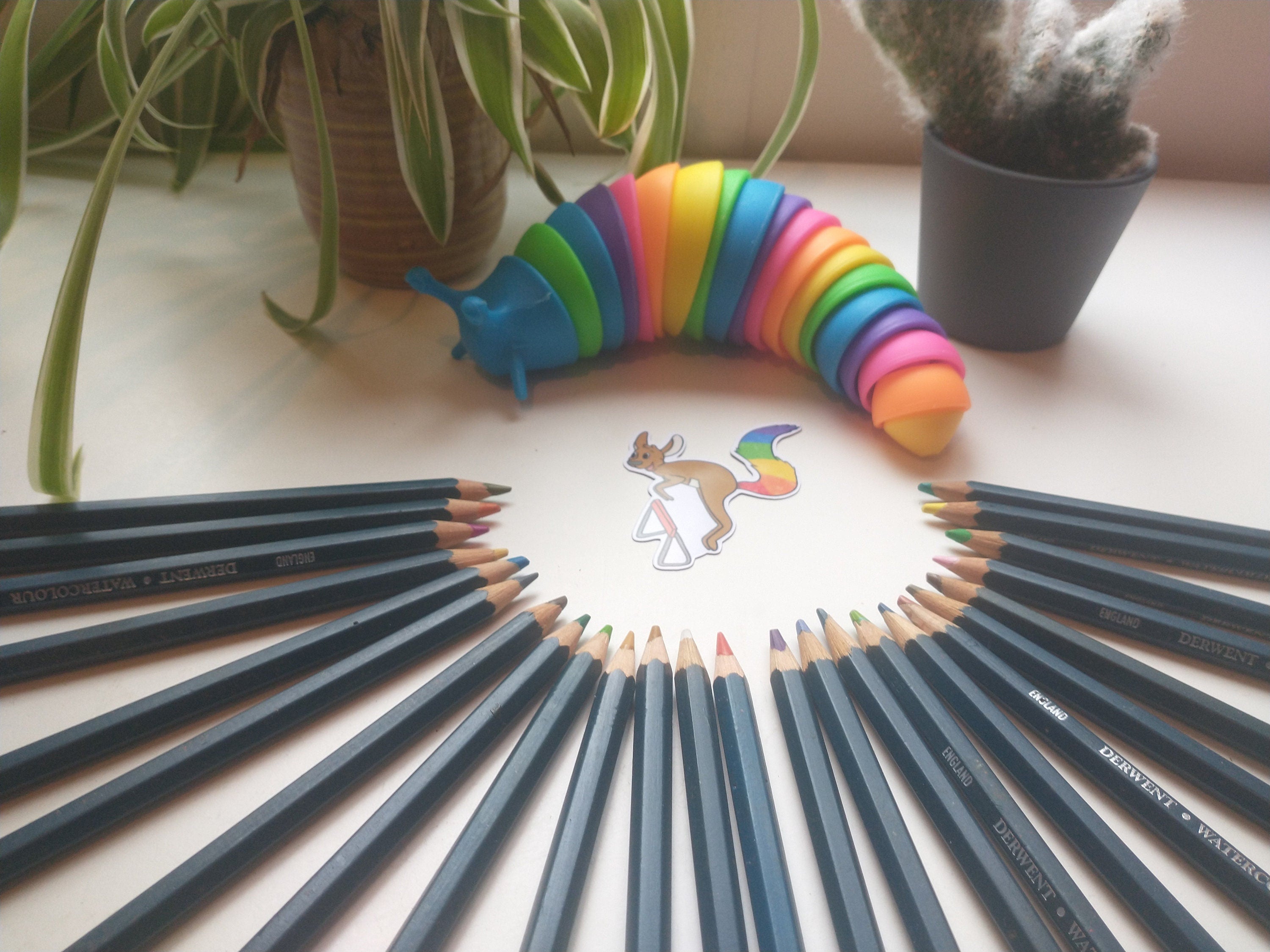 Fantasy rainbow sport kangaroo, wash machine cat and washing elephant